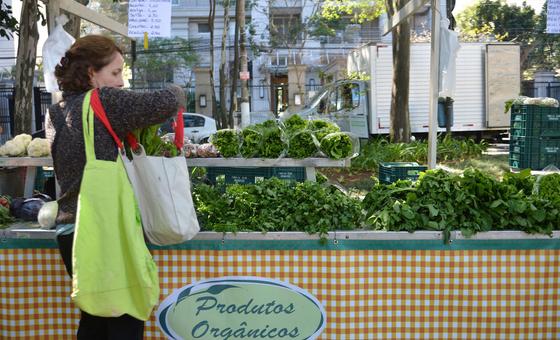 FAO une-se a chefs contra desperdício de alimentos na América Latina